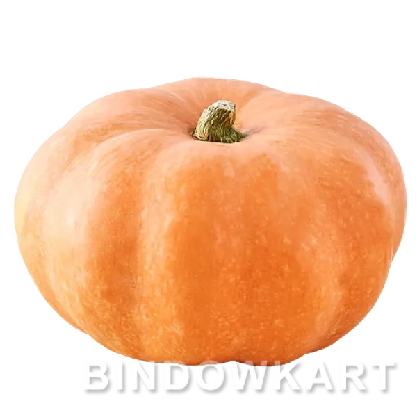 PUMPKIN