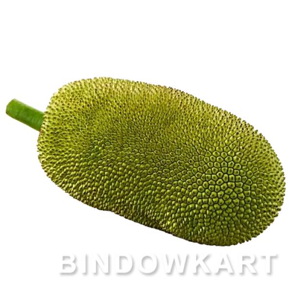 JACKFRUIT