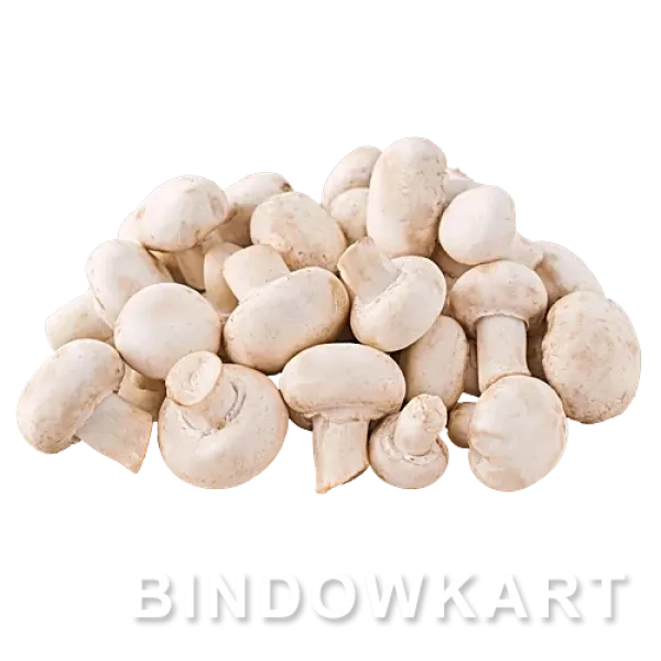 MUSHROOM