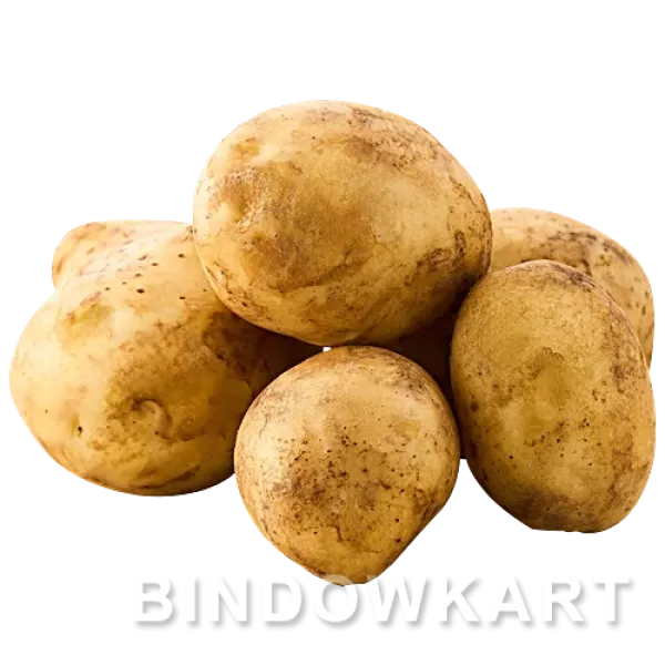 WHITE PATATO