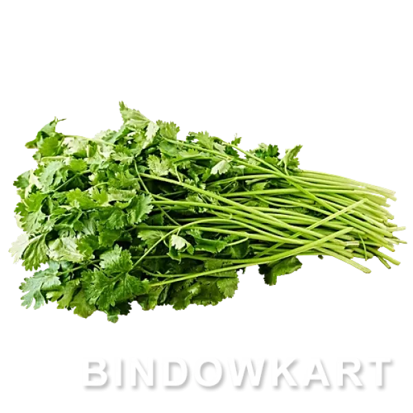Fresh Coriander Leaves