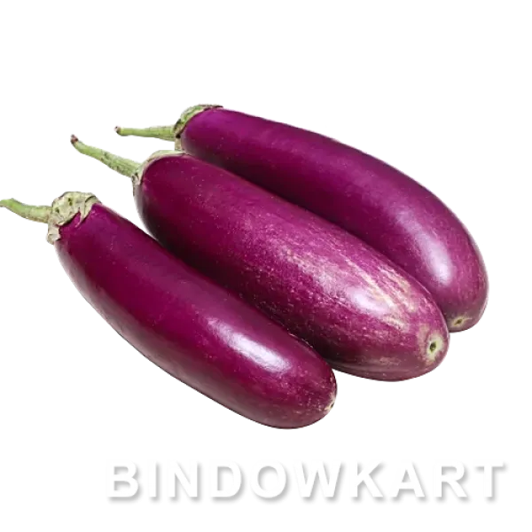 Fresh Brinjal - Length